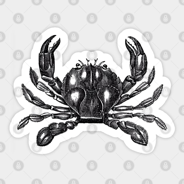 Sea life--Crab Sticker by 7Hancocks